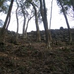 津和野城出丸石垣（北から）