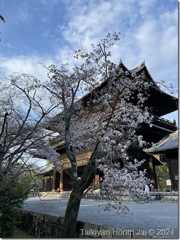 南禅寺山門と桜（2024年4月7日撮影）